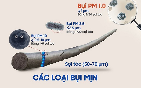 Bụi mịn PM 2.5 là những hạt bụi mịn có kích thước siêu nhỏ