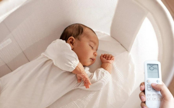 Cơ thể của sẻ sơ sinh rất nhạy cảm